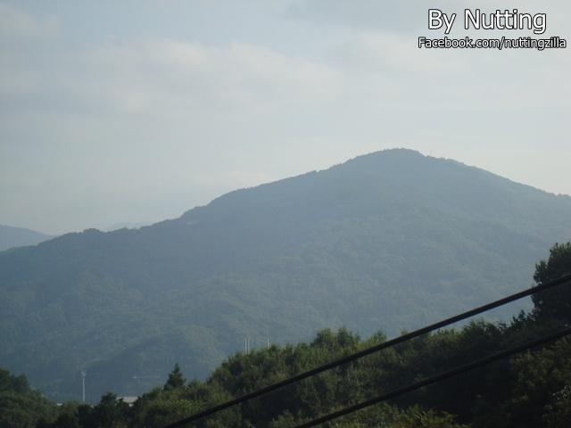 DSC03935.JPG